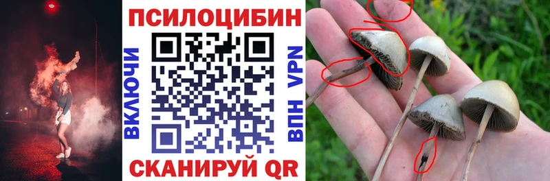 где найти   Лянтор  даркнет состав  Галлюциногенные грибы Psilocybine cubensis 