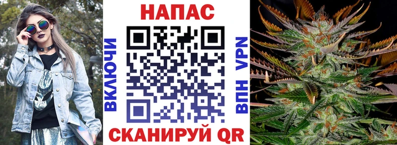 Шишки марихуана планчик  Лянтор 